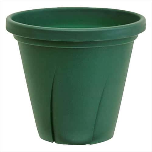 他サイト： ヤマト 根ハリ鉢 8号 4.8L ダークグリーンの商品画像