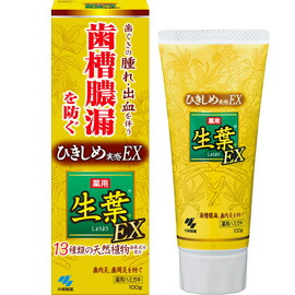 他サイト： 薬用 生葉EX 100g 【小林製薬】の商品画像