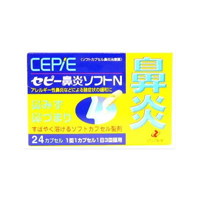 他サイト： 【第(2)類医薬品】(税制対象)セピー鼻炎ソフトN 24カプセル 4987103039976の商品画像