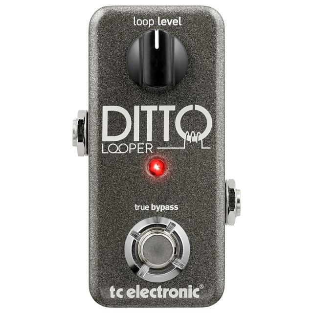 他サイト： tc electronic DITTO LOOPER(ティーシーエレクトロニック)ルーパーの商品画像