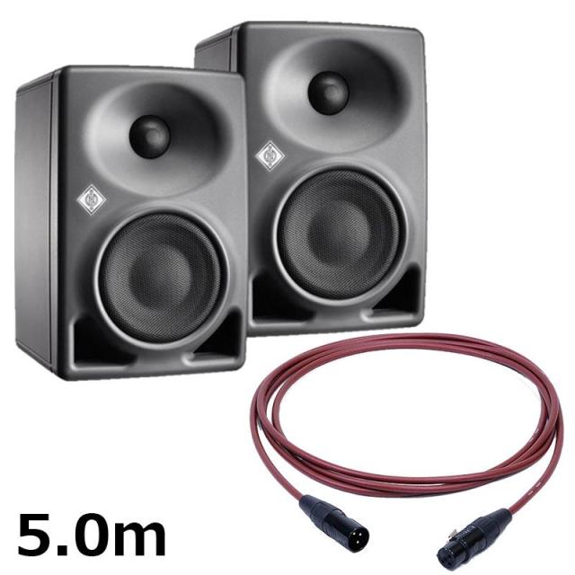 他サイト： NEUMANN 【夏先取り大特価セール】【旧価格在庫】KH 80 DSP A G  (ペア)【PASSGO REDスピーカーケーの商品画像