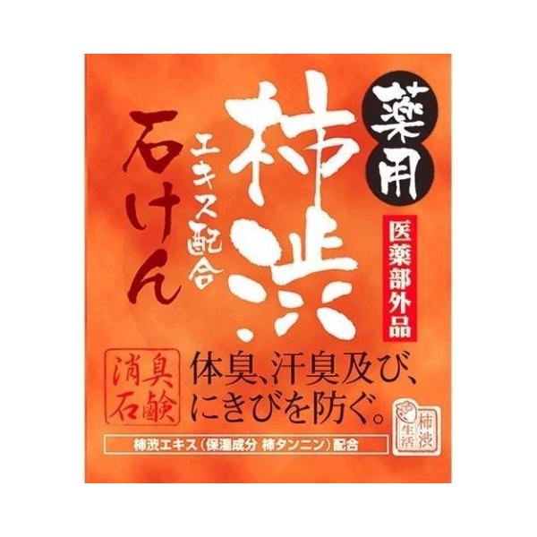 他サイト： 薬用 柿渋エキス配合石けん 100g /柿渋(4902895039836)の商品画像