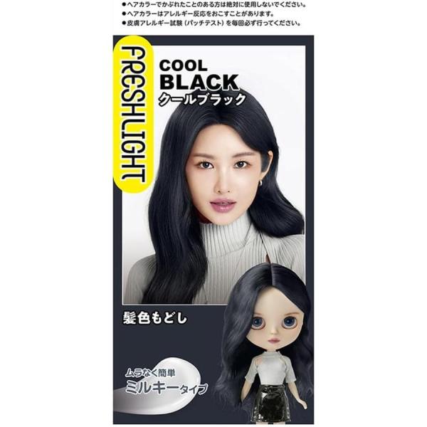 他サイト： フレッシュライト 髪色もどしクールブラック 60g+60ml/ フレッシュライト ヘアカラー(4987234322688)の商品画像