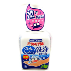 他サイト： パーシャルデント 洗浄フォーム ミントの香り 250mL*配送分類:A2の商品画像