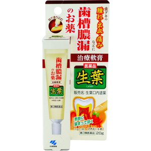 他サイト： 生葉 口内塗薬 20g【第3類医薬品】*配送分類:A2の商品画像