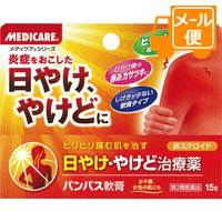 他サイト： メディケア パンパス軟膏 15g【第2類医薬品】[ネコポス配送2]の商品画像
