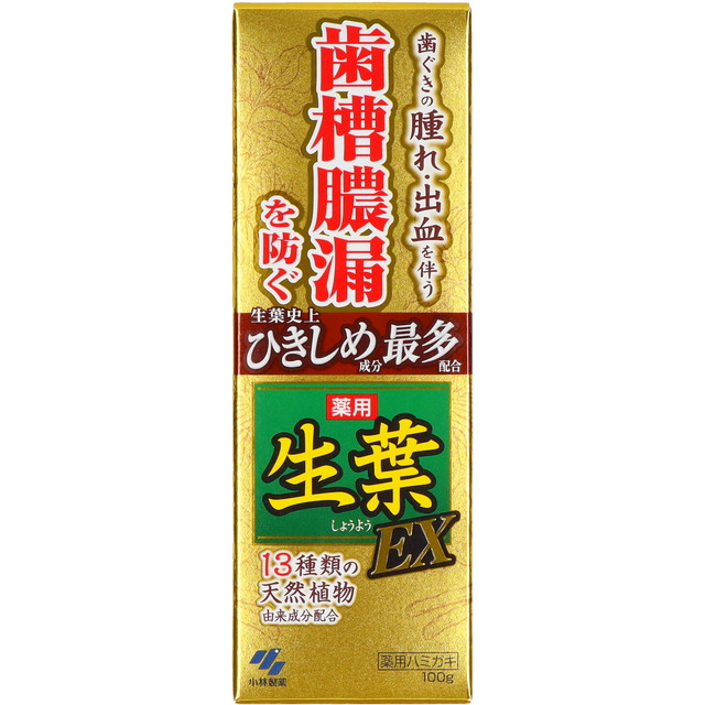 他サイト： 【小林製薬】【生葉】生葉EX 100g 医薬部外品(歯周病歯磨き ハミガキ)(4987072038826)の商品画像
