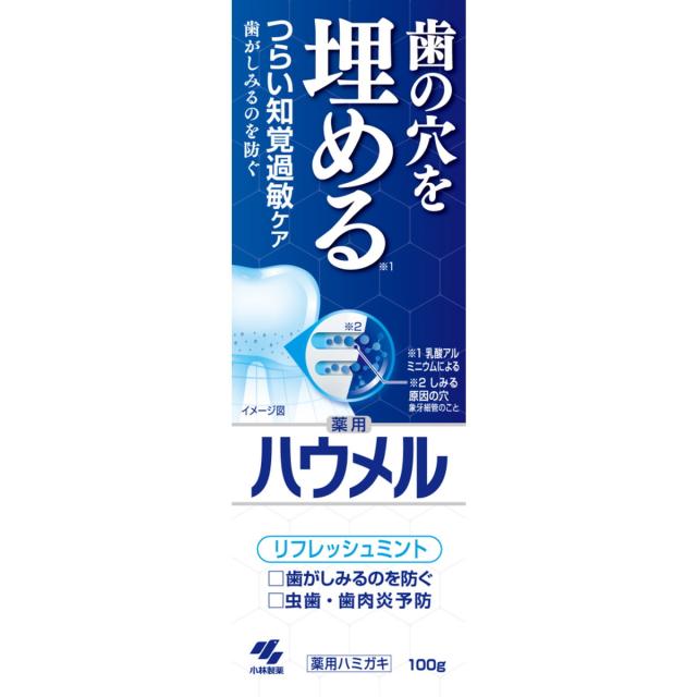 他サイト： 【今月のオススメ品】小林製薬 ハウメル リフレッシュミント 100g 薬用ハミガキの商品画像