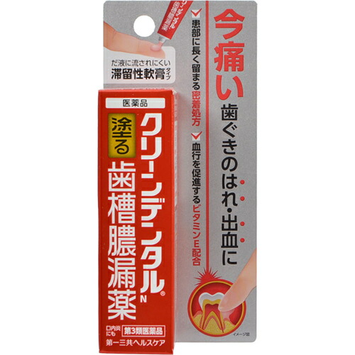 他サイト： 【第3類医薬品】【メール便送料無料】クリーンデンタルN 歯槽膿漏薬 8g [第一三共ヘルスケア]の商品画像
