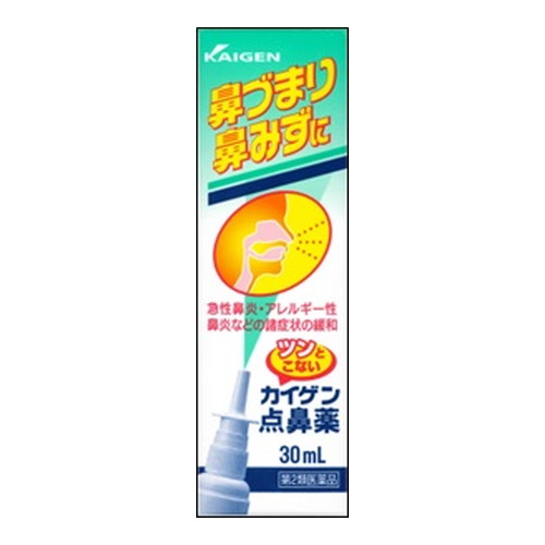 他サイト： 【第2類医薬品】カイゲン点鼻薬 30ml[カイゲンファーマ]の商品画像