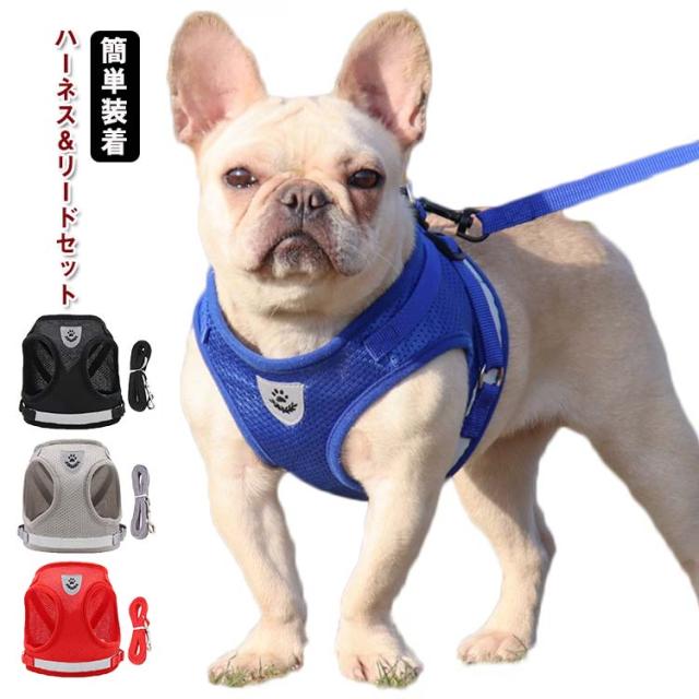 訳アリ】 Petio ペティオ 中型犬 大型犬 リード 13本