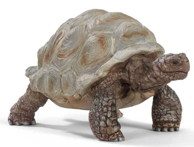 他サイト： シュライヒ Schleich ゾウガメ【14824】  返品種別Bの商品画像