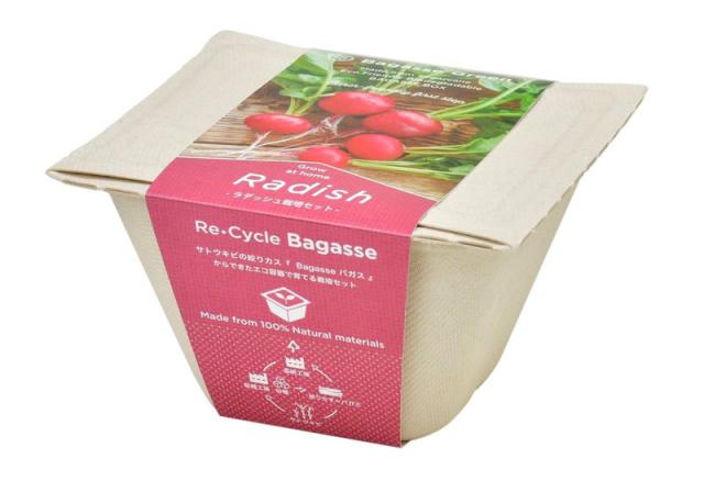 他サイト： 聖新陶芸 GD-95301 バガスグリーン (ラディッシュ)[GD95301] 返品種別Bの商品画像