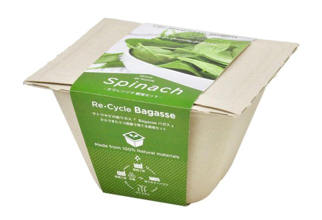 他サイト： 聖新陶芸 GD-95304 バガスグリーン (サラダホウレンソウ)[GD95304] 返品種別Bの商品画像