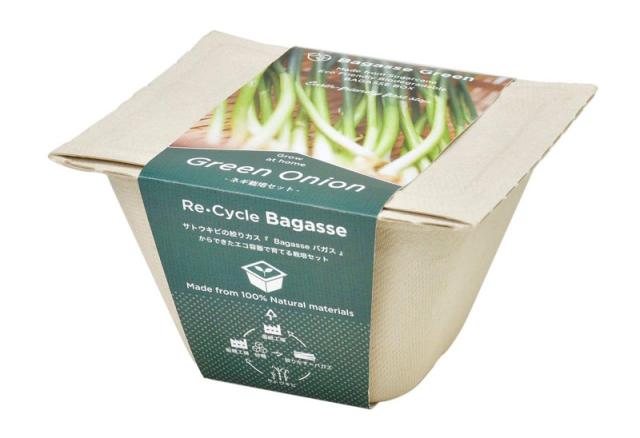 他サイト： 聖新陶芸 GD-95305 バガスグリーン (ネギ)[GD95305] 返品種別Bの商品画像