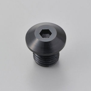 他サイト： デイトナ 99617 ミラー穴埋めボルトM10 逆ネジタイプ(ブラック)DAYTONA[99617] 返品種別Bの商品画像