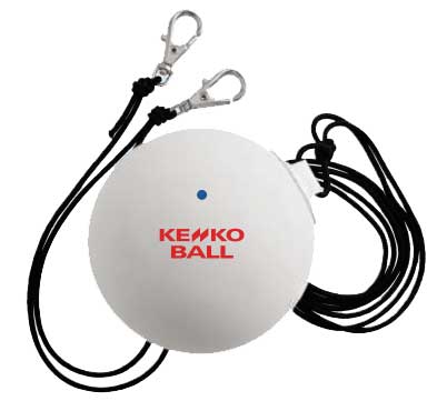 他サイト： ケンコー(KENKO) TSV-WB ケンコーWボレー(ソフトテニスボール練習用品)NAGASE KENKO TSVWB[KENの商品画像