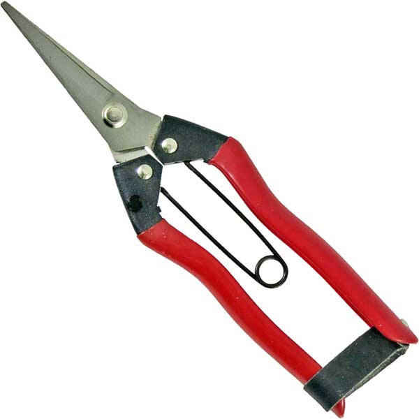 他サイト： 永吉 31140 ステンレス 摘果鋏 185mm[31140ハサミ] 返品種別Bの商品画像