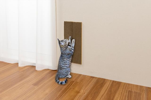 他サイト： サンコー KX-61 吸着コーナーにも貼れる猫のつめとぎ 段ボール(45×10cm)2枚入りペット用[KX61サンコ] 返品種別の商品画像