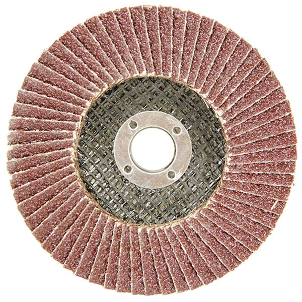 他サイト： E-Value PS100-40 ペーパーサンダー 粒度#40(外径100×穴径15mm)藤原産業[PS10040] 返品種別Bの商品画像