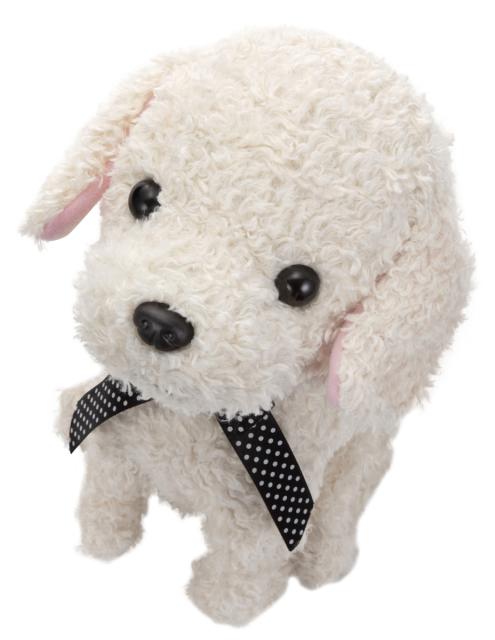 他サイト： セガフェイブ ココさかだちして(クリーム)  返品種別Bの商品画像