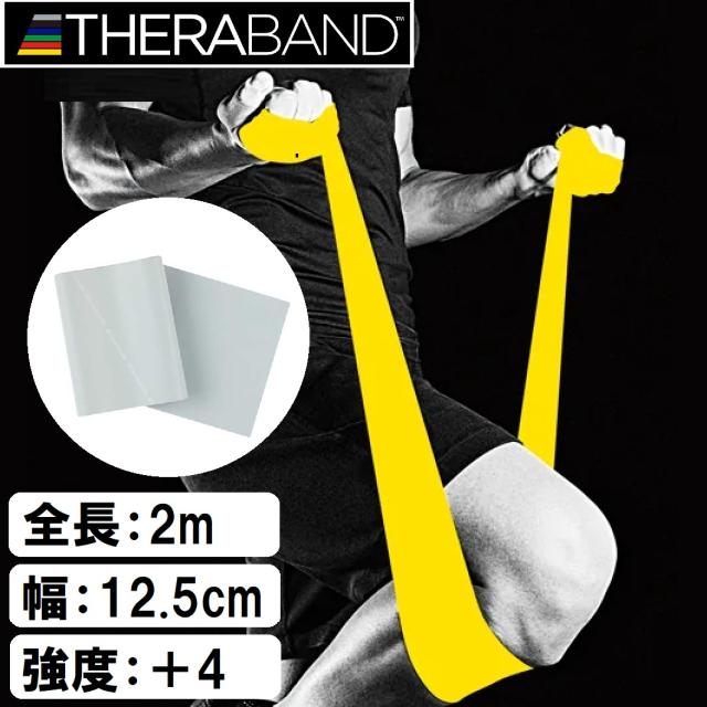 他サイト： D&M TBB-6 セラバンド ブリスターパック(シルバー)THERABAND 強度:スーパーヘビー レベル:+4[DMTBB6の商品画像