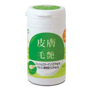 他サイト： トーラス 粉末サプリメント 皮膚・毛艶 30g 返品種別Aの商品画像