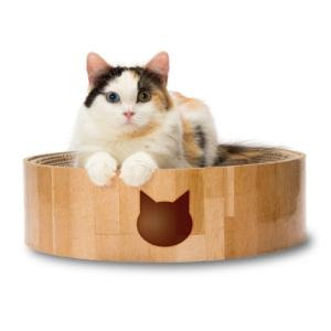 他サイト： 猫壱 バリバリボウル 猫柄 返品種別Aの商品画像