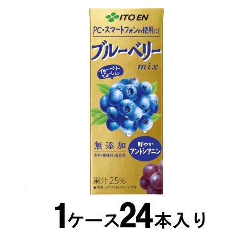 他サイト： 伊藤園 ブルーベリーmix 200ml (1ケース24本入) 返品種別Bの商品画像