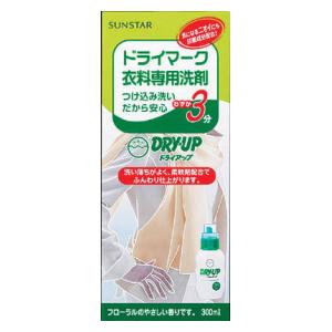 他サイト： サンスター ドライアップ 本体 300ml 返品種別Aの商品画像