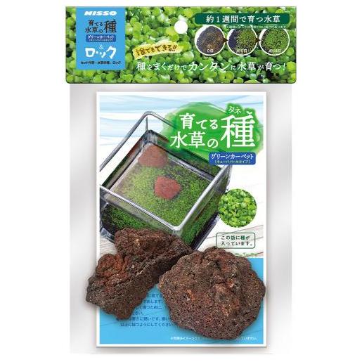 他サイト： ニッソー 育てる水草の種 グリーンカーペット&ロック 返品種別Aの商品画像