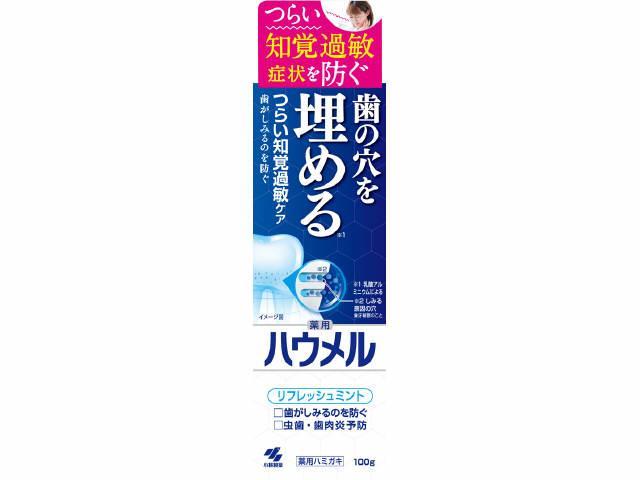 他サイト： 小林製薬 ハウメル 100g 返品種別Aの商品画像