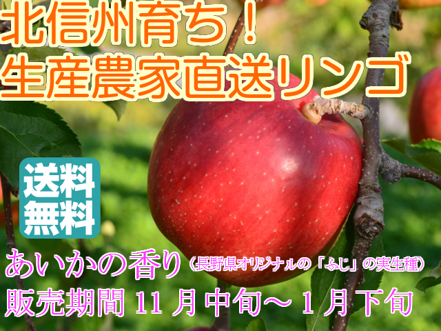 送料無料 訳ありリンゴ 芳香と甘味が特徴的な信州オリジナル品種 あいかの香り 自家用ランク 約5ｋｇ 10 18玉 の通販はau Wowma ワウマ 信州なかの北原農園 商品ロットナンバー