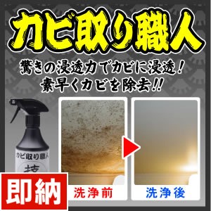 即納 技職人魂 カビ取り職人 お風呂の天井 ゴムパッキンやタイル目地のカビ落とし ヌメリやコケにも使える プロのカビ取り洗剤 の通販はau Pay マーケット キレイサプリ