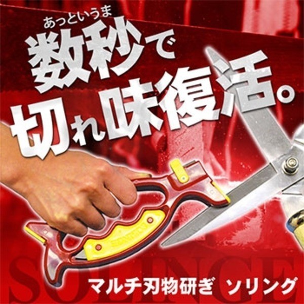 竹内快速鋸 takeuchi kaisoku noko 竹内式ダイヤモンド庖丁研ぎ器 匠 ： Amazon・楽天・ヤフー等の通販価格比較  [最安値.com]