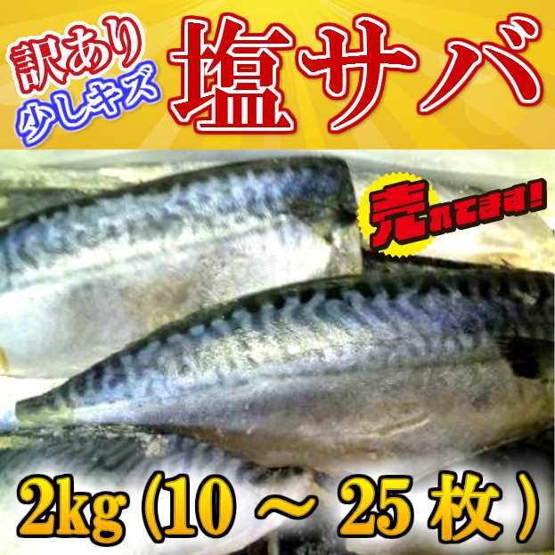 市場 ふるさと納税 大容量 国産塩さばフィレ３．５ｋｇ ご家庭用