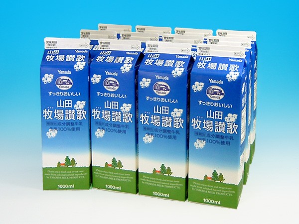 本日限定 南日本酪農協同 デーリィ 霧島山麓牛乳 200ml紙パック×24本入 送料無料 乳性飲料 牛乳 紙パック ロングライフ 
