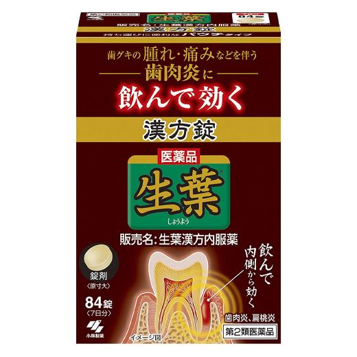 他サイト： 【第2類医薬品】 生葉漢方錠 生葉漢方内服薬 84錠 - 小林製薬 [排膿散及湯/ハイノウサンキョウトウ]の商品画像