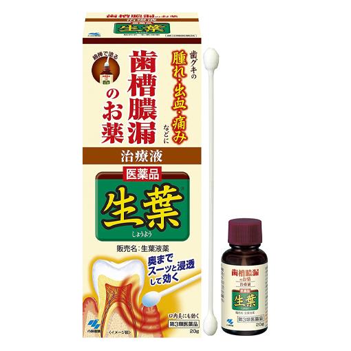 他サイト： 【第3類医薬品】 生葉液薬 20g - 小林製薬 [歯肉炎/歯槽膿漏]の商品画像