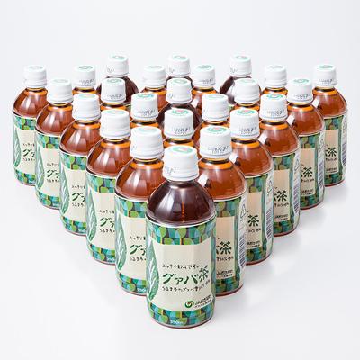 他サイト： 農事組合法人グァバ生産組合 沖縄産原料100%のグァバ茶使用 ノンカフェイン グァバ茶ペットボトル〔350ml×24本〕の商品画像