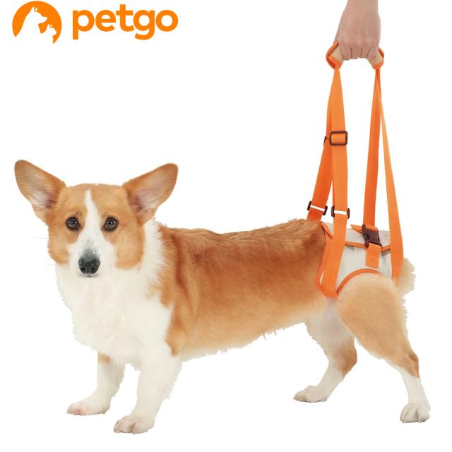 他サイト： ペティオ zuttone(ずっとね) 老犬介護用 歩行補助ハーネス 後足用 Lの商品画像