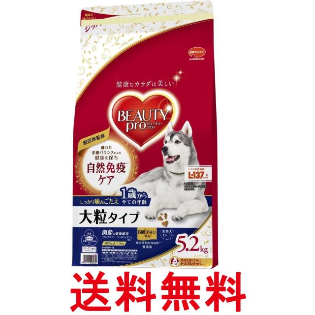 他サイト： ビューティープロ ドッグフード ドッグ 大粒タイプ 1歳から チキン犬 5.2kg 送料無料の商品画像