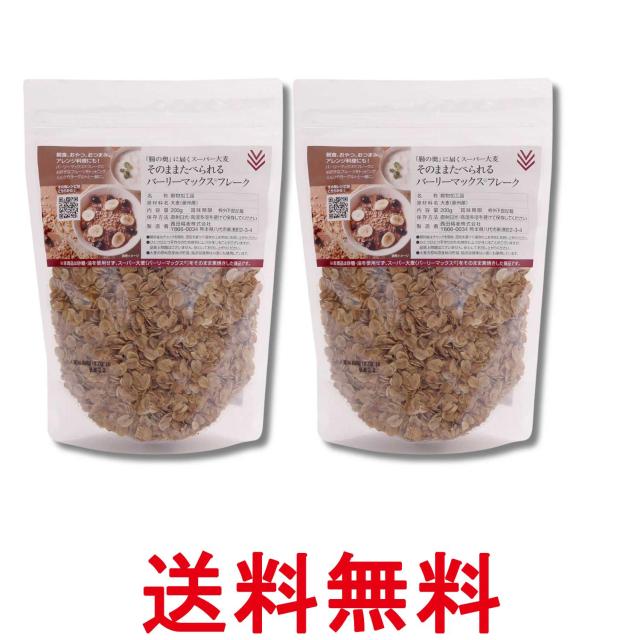 他サイト： 2個セット 西田精麦 そのままたべられるバーリーマックスフレーク 200g 送料無料の商品画像
