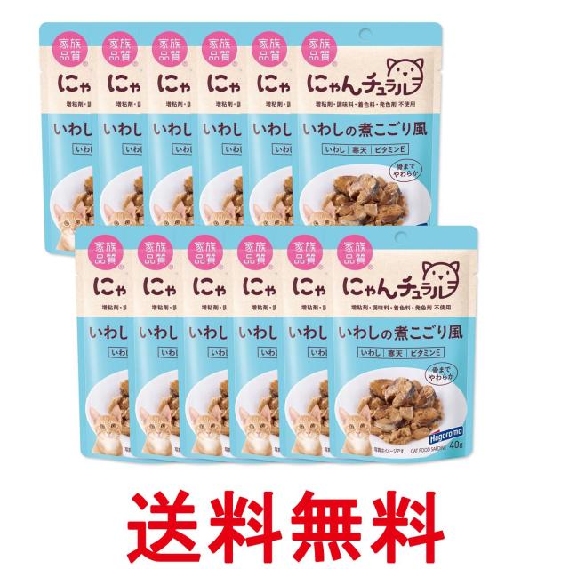 他サイト： 12個セット はごろも にゃんチュラル パウチ いわしの煮こごり風 40g 猫用 送料無料の商品画像