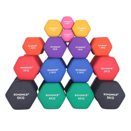 他サイト： SONGMICS ダンベル カラフル鉄アレイ 0.5KG×2個セット コンパクトで多用 持ちやすい 場所取らず 男性 女性 筋トの商品画像
