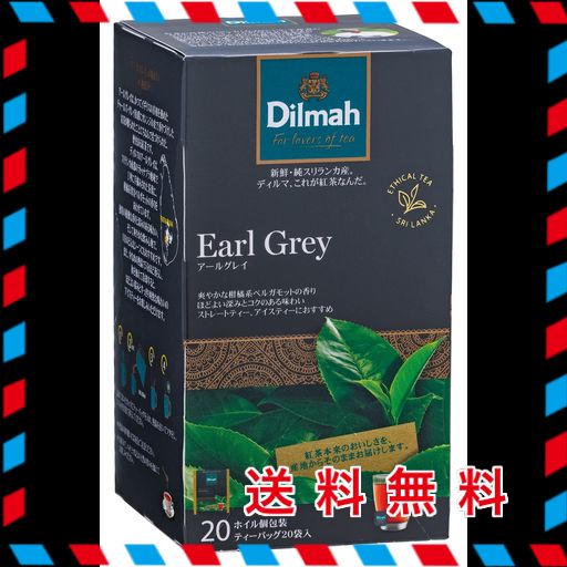 他サイト： ワルツ DILMAH(ディルマ) グルメ アールグレイ ティーバッグ 20P×2個の商品画像