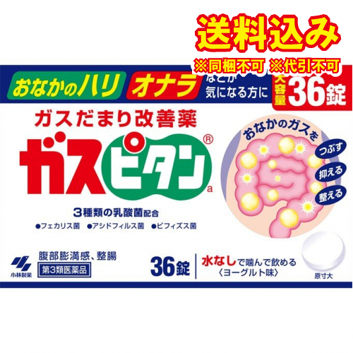 他サイト： 定形外)【第3類医薬品】ガスピタン 36錠の商品画像