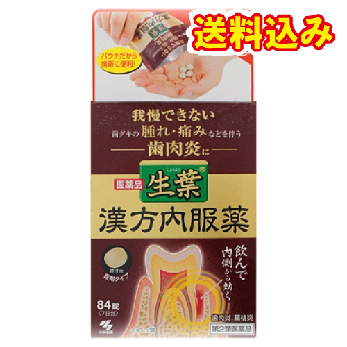 他サイト： 【第2類医薬品】生葉漢方錠 84錠の商品画像