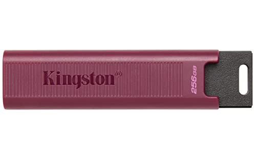 Kingston DataTraveler Max Type-A 256GB High Pe...