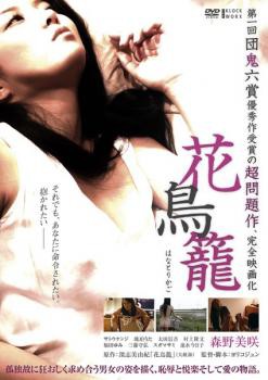 Ԓ DVD ^